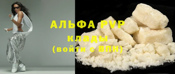 PSILOCYBIN Волосово