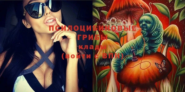 PSILOCYBIN Волосово