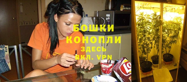 PSILOCYBIN Волосово
