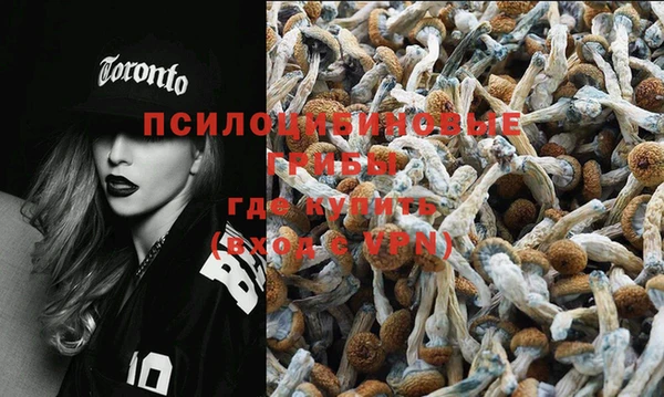 PSILOCYBIN Волосово