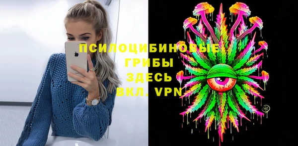 PSILOCYBIN Волосово