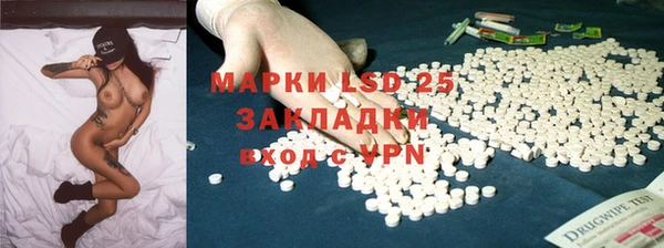 PSILOCYBIN Волосово
