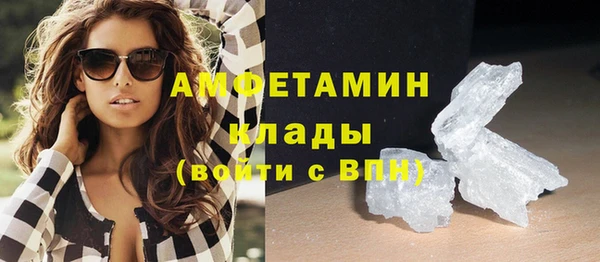 PSILOCYBIN Волосово