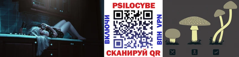 закладки  Луга  Псилоцибиновые грибы прущие грибы 